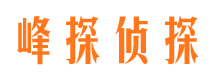 六枝侦探